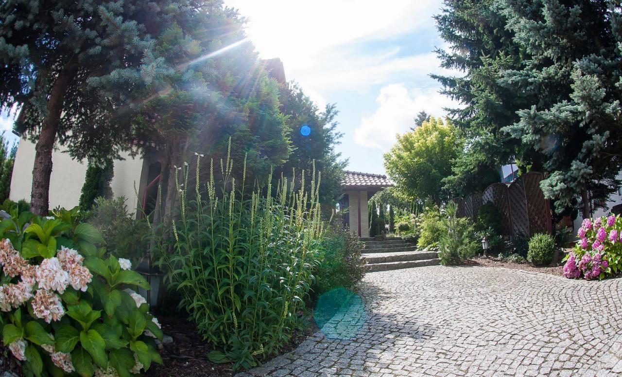 זיילונה גאורה Villa Jasmin מראה חיצוני תמונה