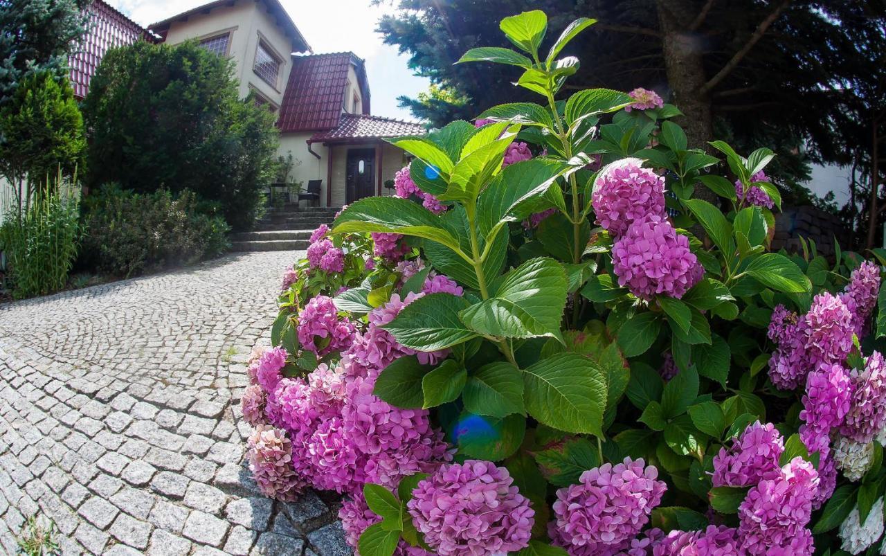 זיילונה גאורה Villa Jasmin מראה חיצוני תמונה